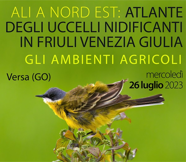 ATLANTE_Amb Agricoli_Grion_ROMANS-BAnner